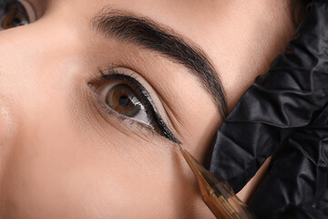 Poster - Young woman undergoing procedure of permanent eye makeup in tattoo salon, closeup