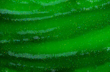Slime Green Abstract Background .