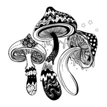 Magic Mushrooms. Psychedelic Hallucination. Outline Vector Illustration Isolated On White. 60s Hippie Art. Coloring Book For Kids And Adults.