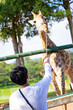 © Sunanta - feeding banana food for giraffe