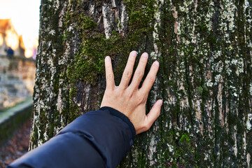  Hand of man touching tree at park