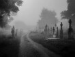 Dark ancient cemetery in the fog. Crosses and graves in the old abandoned cemetery. Place of burial. Black and White photo