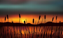 Reeds And Rushes On The Background Of A Golden Sunset On The Water With Distant Hills.