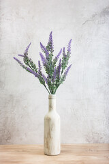 Lavender flowers in a pot, on a light background