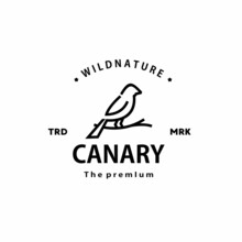 Vintage Retro Hipster Canary Logo Vector Outline Bird Monoline Art Icon