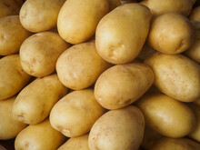 Close-up Shot Of Neatly Stacked Large Russet Potatoes On A Stall