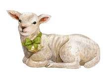 Watercolor lamb, white sheep illustration,cute easter lamb isolated on white background. Fluffy pet, farmhouse animal in vintage style