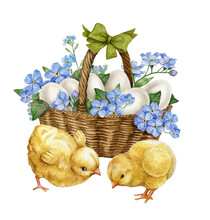 Watercolor Easter Basket With White Egg And Blue Flowers, Two Baby Chick Bird. Spring Easter Postcard Illustration.