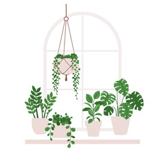 Vector illustration of indoor plants in pots on a windowsill.