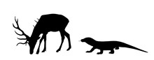 Komodo Dragon Hunting Deer Male Vector Silhouette Illustration Isolated. Huge Antlers Buck. Biggest Lizard Ambush Attacks Red Deer Grazing Grass. Reindeer Prey For Komodo Monitor. Varanus Komodoensis.