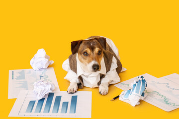 Business dog with documents on color background