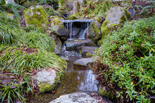 A Small Waterfall At The Bellevue Botanical Garden