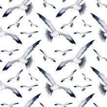 Watercolor Drawing Pattern Of A Realistic Seagull. Seamless Repeating Print Of Stylized Seagulls. Nautical Background With Minimalist Ornament. Sea Life, Flying Birds. Isolated On White Background.