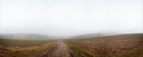 Wall Mural - Panorama of an autumn field on a cold foggy morning