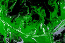 Bright Acrylic Background, Abstract Green, Black Fluid Art With Sea, Waves, Sky, Feather With Smooth Lines, Streaks, Cells.