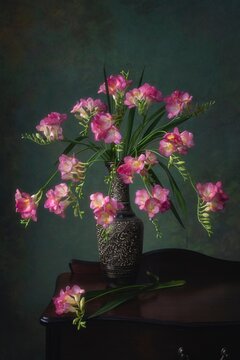 Still life with splendid bouquet of pink freesia flowers
