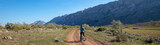 Fototapeta Natura - panorama view of woman on mountain bike in countryside