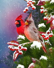 New year christmas festive background, two bright red cardinal birds sit near the birdhouse, feeders on a green spruce branch, snowfall, evening lighting, 3d rendering