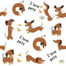 Dachshund Dogs Seamless Pattern On A White Background. Vector Cartoon Illustration. T-shirt Design