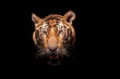 Tiger face on black backgrounds.