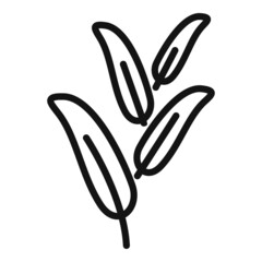 Poster - Aromatic sage icon outline vector. Leaf plant