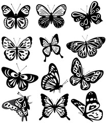 Wall Mural - flying butterflies silhouette, on a white background, vector