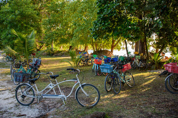 Poster - A closeup of Bicycles parked in shade near beach on tropical island of La Digue on Seychelles