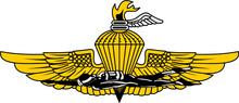 United States Marine Corps Force Reconnaissance (FORECON) USMC Insignia
