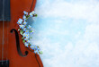 Close up of violin with beautiful blue spring forgot-me-not flowers  on blurred cloudy sky background.
