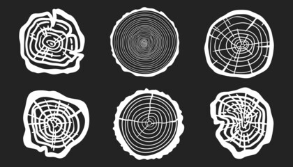 Wall Mural - Tree rings. Set of cross section of the tree. Conceptual graphics. Black and white illustration