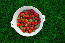 Harvest Ripe, Delicious Strawberries, In A Cup On Green Grass