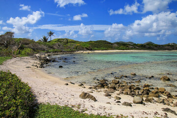 Wall Mural - Coastline of White Island near Carriacou Island, Grenada.