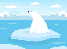 White Polar Bear Sitting On Ice Plate Vector Illustration
