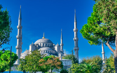 Sticker - Blue Mosque (Sultanahmet Camii) surrounded by trees on a sunny day, Istanbul, Turkey.