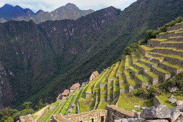Wall Mural - Agricultural stone terraces at  Machu Picchu in Peru