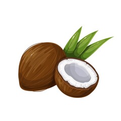 Wall Mural - Whole Coconut, Half and Green Leaf. Tropical fruit vector illustration