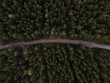 street trough the forest from above