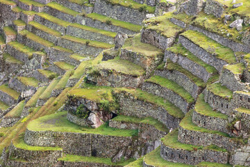 Wall Mural - Agricultural stone terraces at  Machu Picchu in Peru