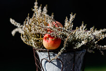 Flower Arrangement With Apple Against A Natural Background In A Macro Shot