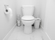 Toilet with metallic toilet paper roll holder and garbage can on floor in white modern bathroom