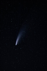 Wall Mural - A Neowise comet in a starry night