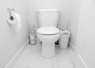 Toilet with metallic toilet paper roll holder and garbage can on floor in white modern bathroom