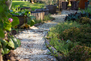 Background image of a path in a small garden where vegetables are planted.