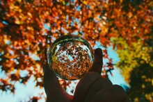 Close-up Of Hand Holding Crystal Ball Against Autumn Leaves