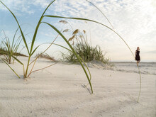 Mature Woman Walking On White Sand Beach With Sea Oats