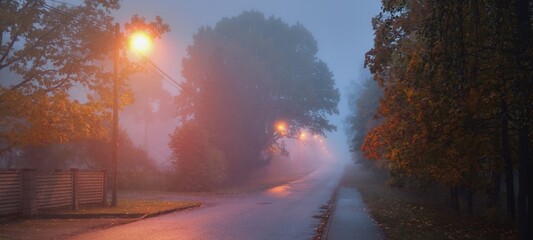 Wall Mural - An empty illuminated country asphalt road through the trees and village in a fog on a rainy autumn day, street lanterns close-up, red light. Road trip, transportation, communications, driving