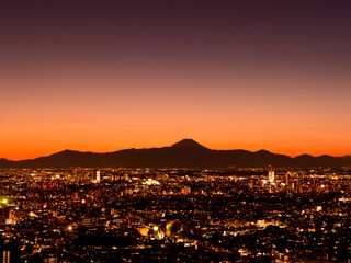 Canvas Print - 東京の街並みと富士山の夕暮れ