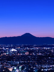 Canvas Print - 東京の街並みと富士山の夕暮れ