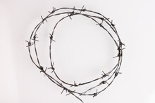 Barbed Wire On A White Background. Close-up, With Sharp Spikes Arranged In A Circle. Copy Space.