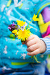 blooming flowers in little toddler girl hand